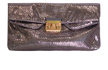 Snake On A Wire Clutch, front view